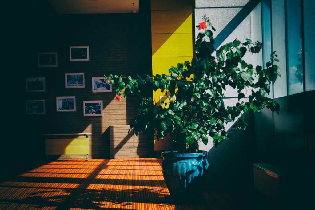 Energieeffizientes Wohnzimmer mit großen Fenstern
